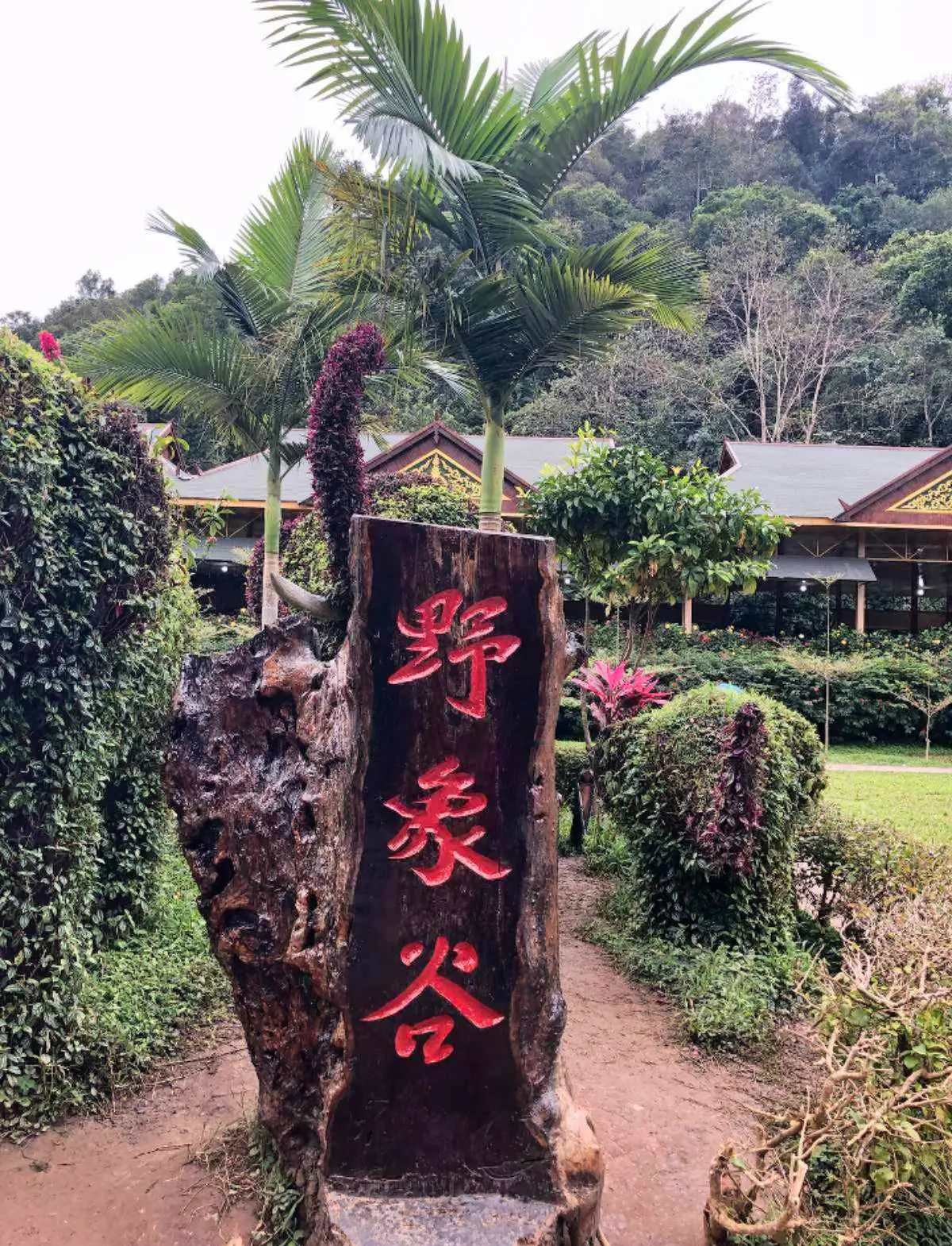 云南 飞机去 飞机回  5天4晚 大手牵小手-真纯玩西双版纳5天4晚真纯玩秘境之旅
