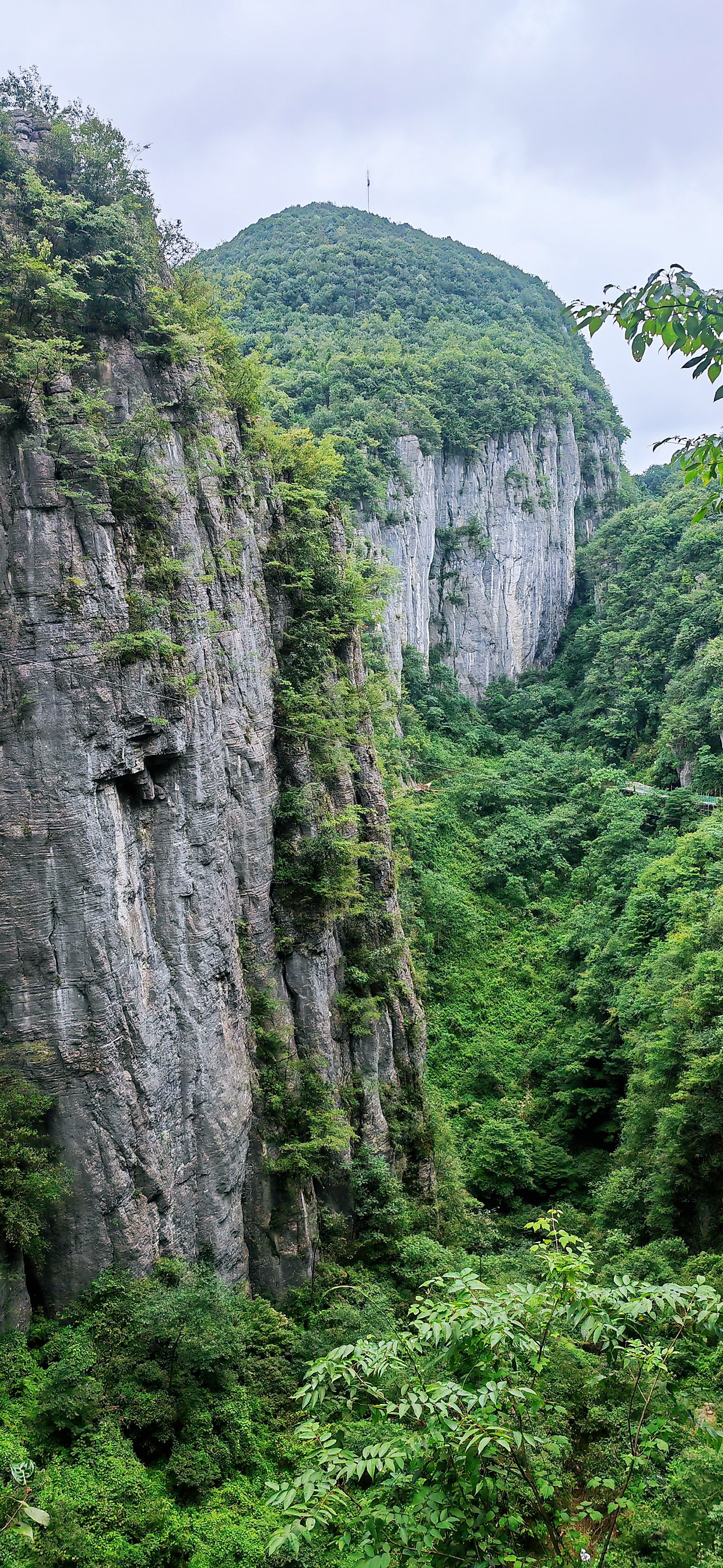 重庆 火车去 火车回  6天5晚 【总统6号】上水宜昌+重庆双卧6日游