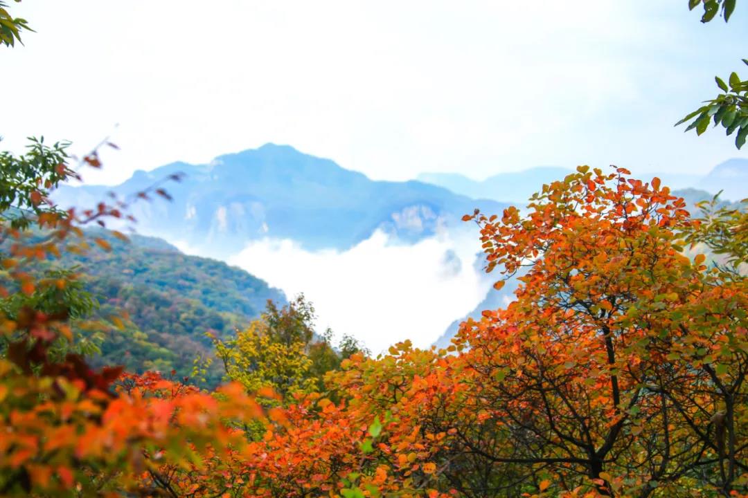 河南 火车去 火车回  8天7晚 全景河南双卧8日游（261012G）