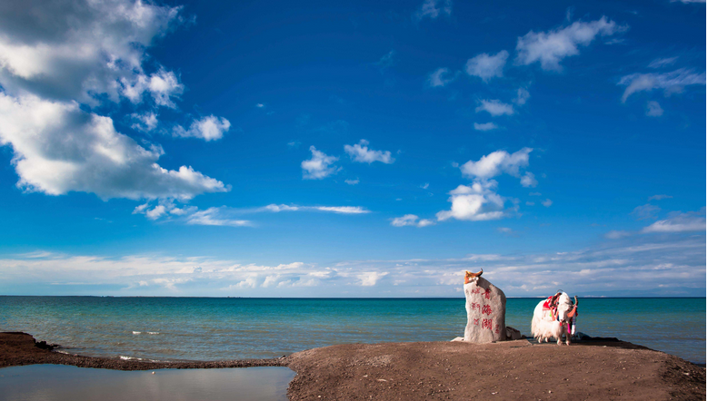 青海湖.png