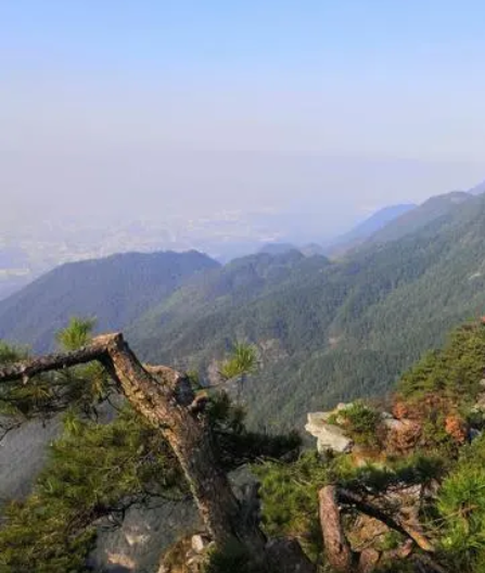 微信截图_20230619173252.png