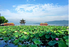 1725253150381198.png eb2f804db20f1d88faede84936575f5.png