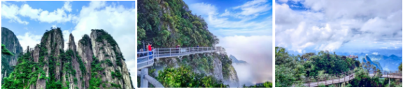 微信图片_2025-08-11_171319_776.png