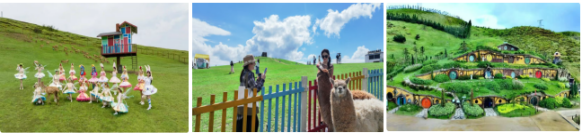 微信图片_2025-09-02_111605_314.png