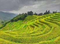 微信图片_2025-09-24_143821_911.png